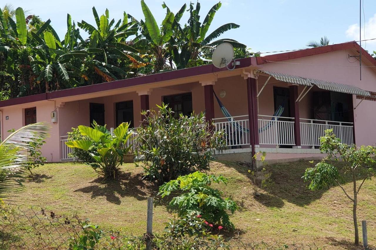 Le Petit Robert Maison F3 Plein Pied 勒罗贝尔 外观 照片